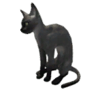 黑色沙漠 貓